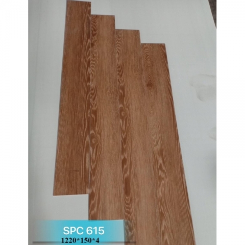 san_ghep_hem_repo (4)