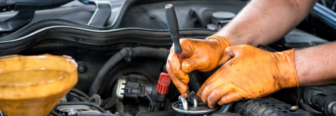 Chính sách bảo hành